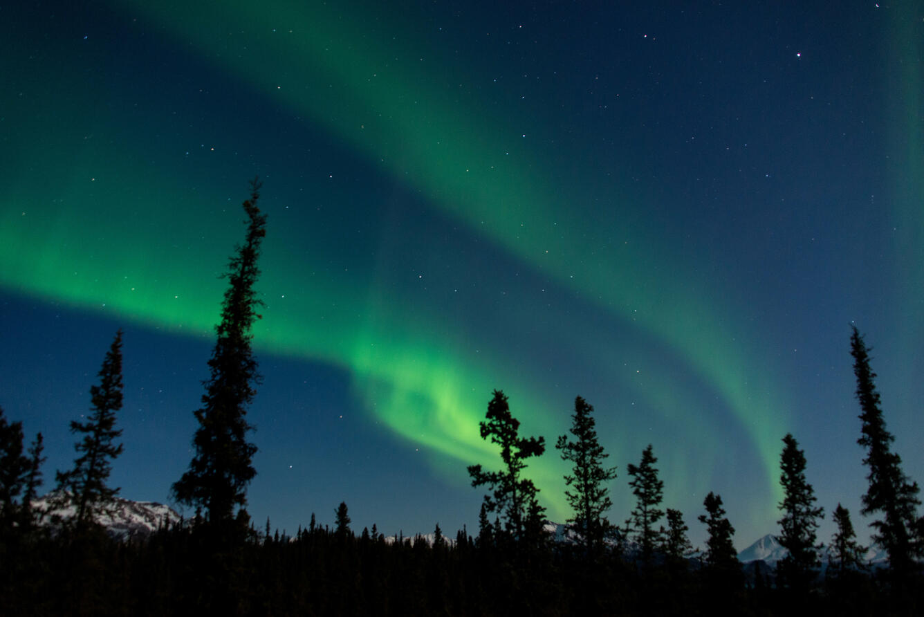 Aurora, Denali National Park