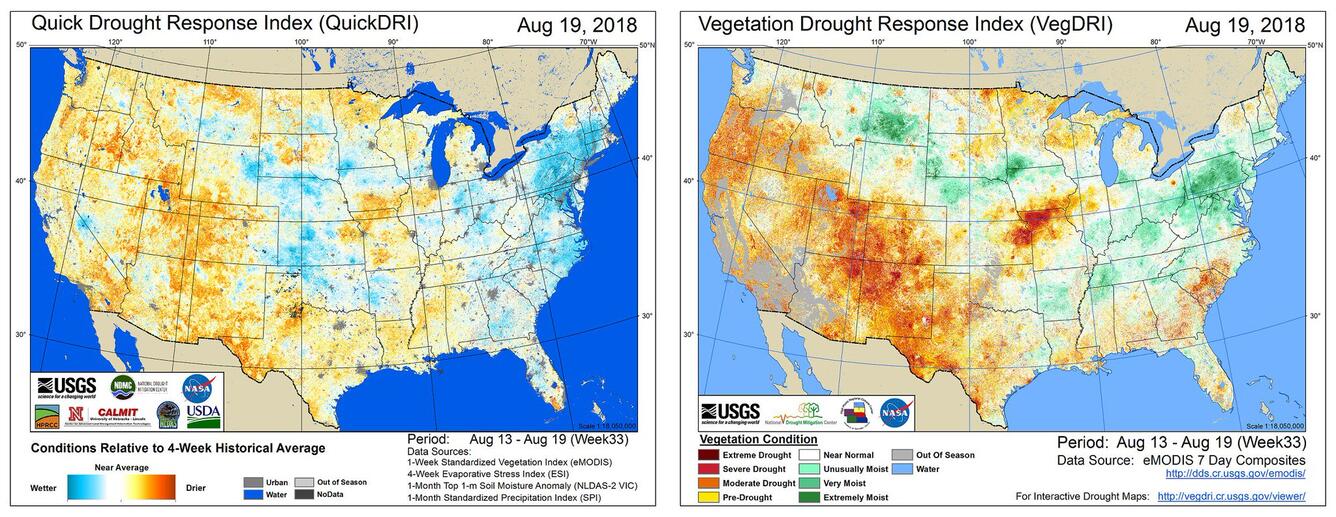 VegDRI and QuickDRI maps for the week of Aug. 13, 2018
