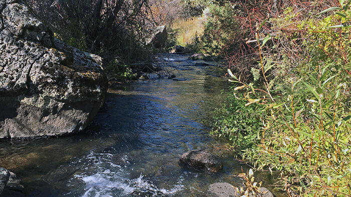Donner Und Blitzen River, Oregon