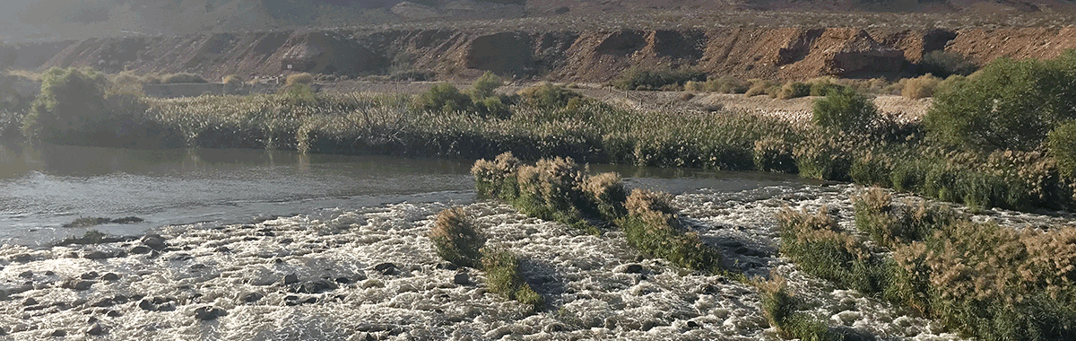 Las Vegas Wash, Nev.