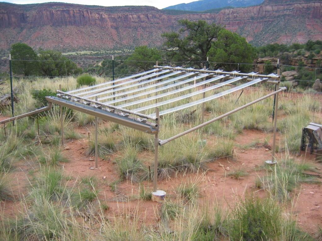 Passive rainfall reduction shelter in Pinon-Juniper savana near Canyonlands National Park, USA 