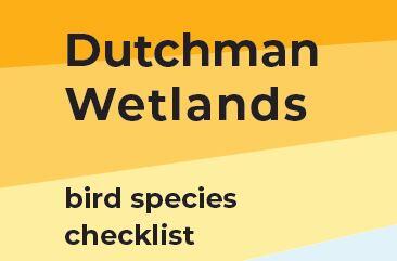 Dutchmand Wetlands bird species