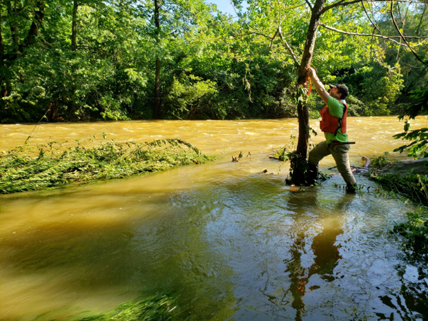 Photograph of USGS staff locating high water mark in flooded creek
