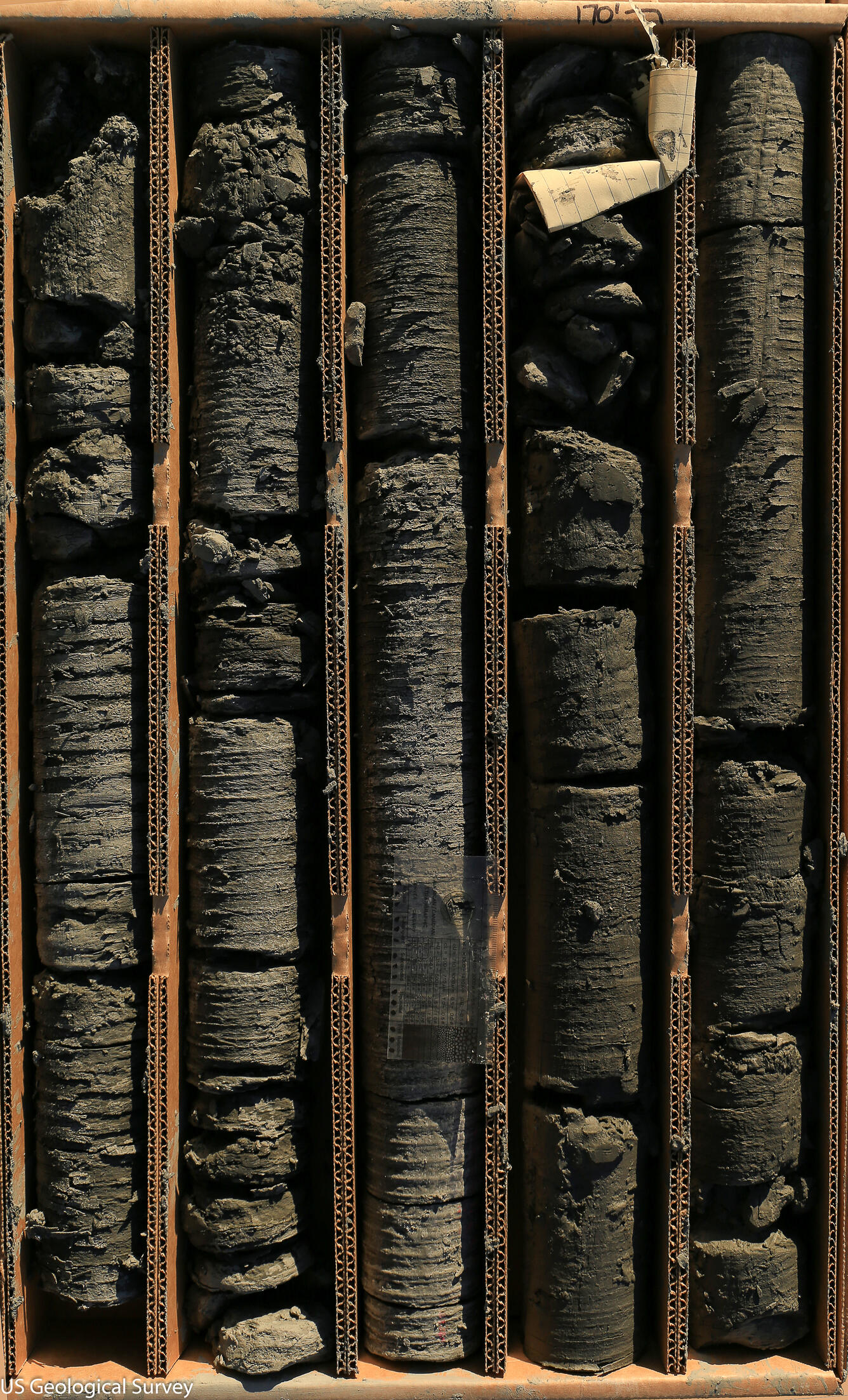 Image shows a drill core in a box with cardboard dividers