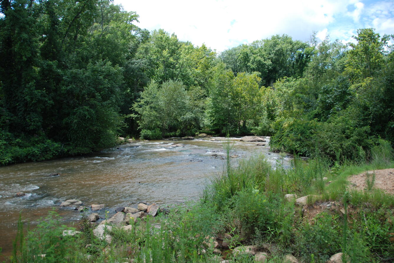 Enoree River near Pelham, SC