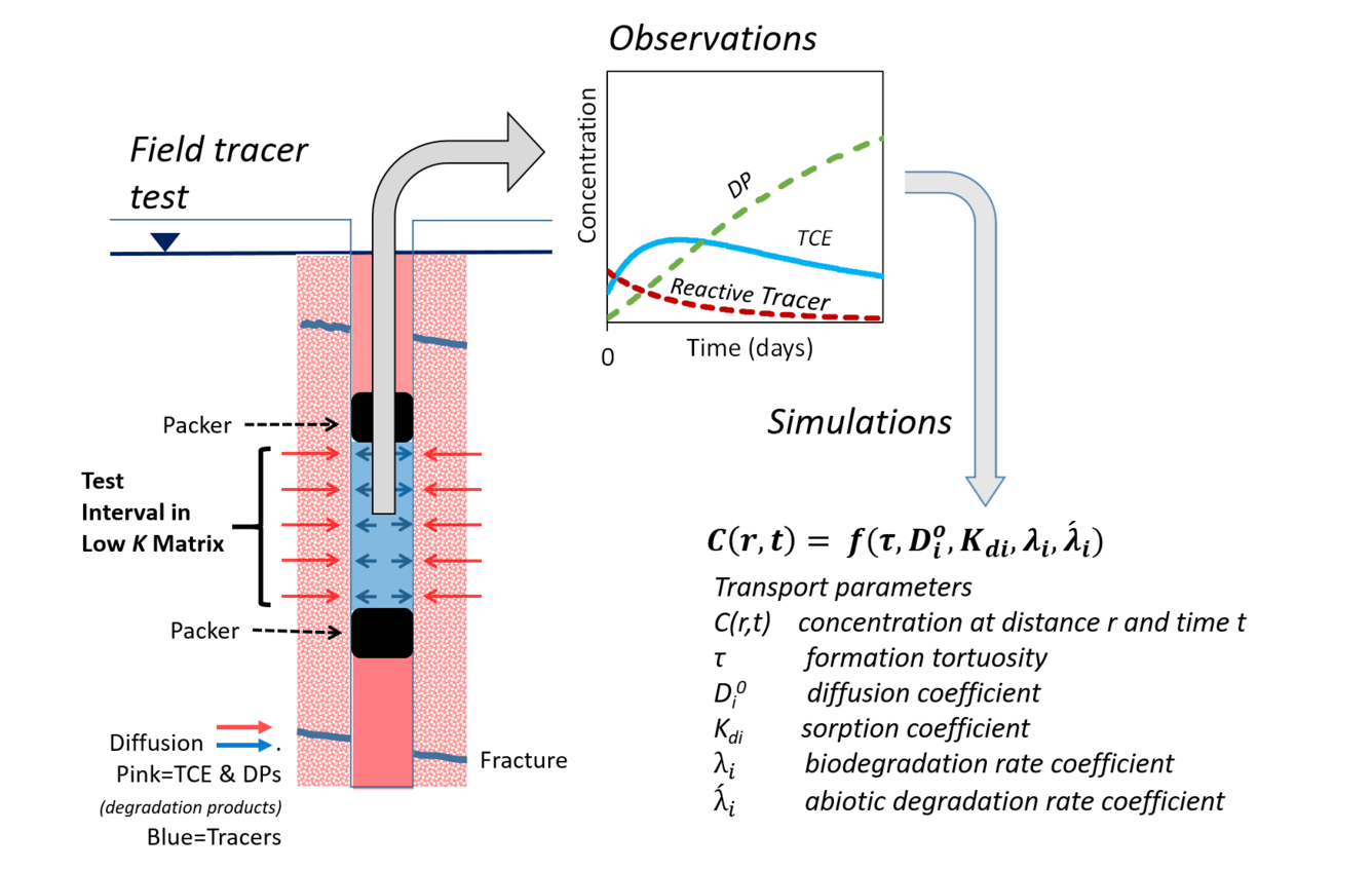 Schematic of tracer dye flow