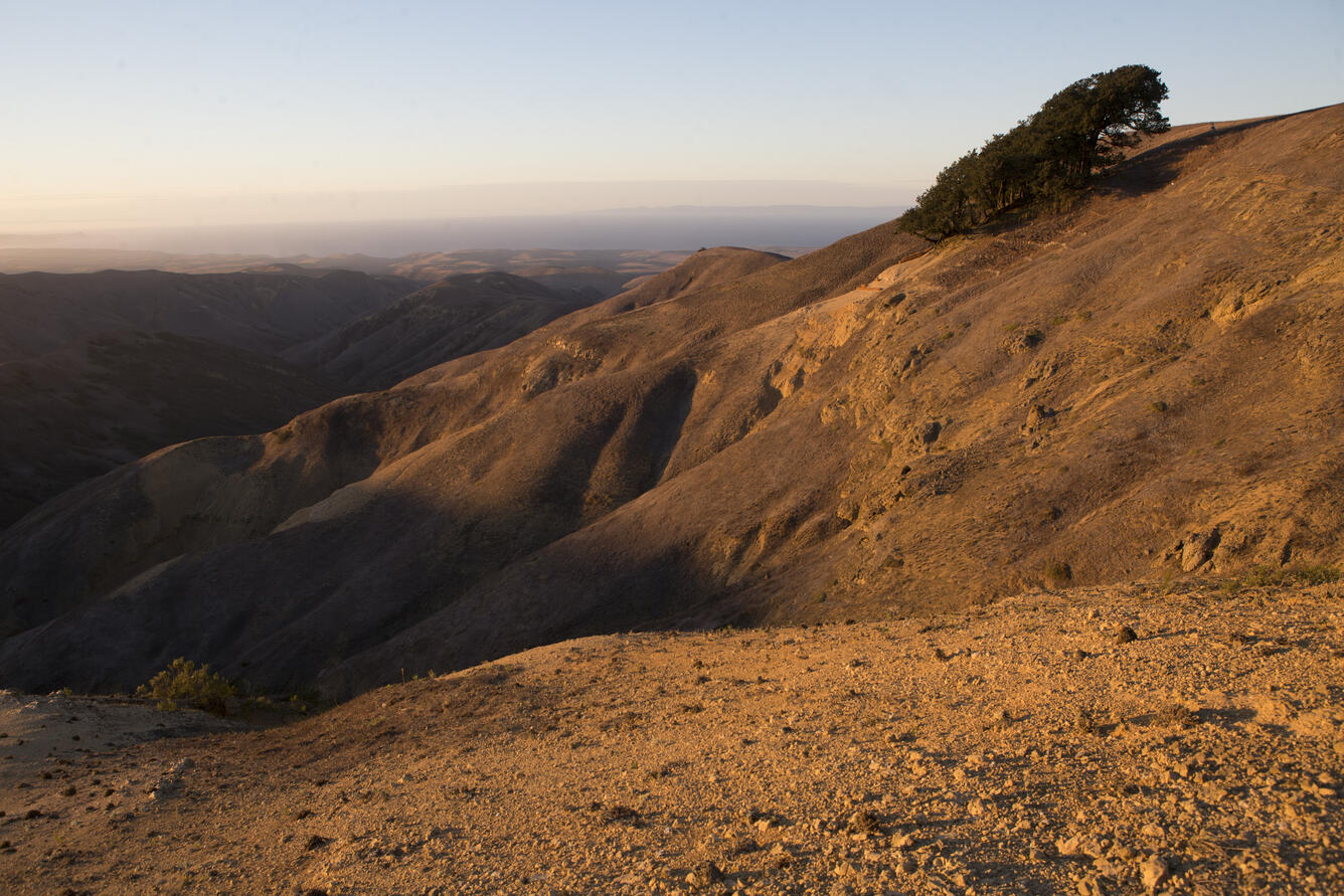 WERC Channel Islands Denuded Landscape