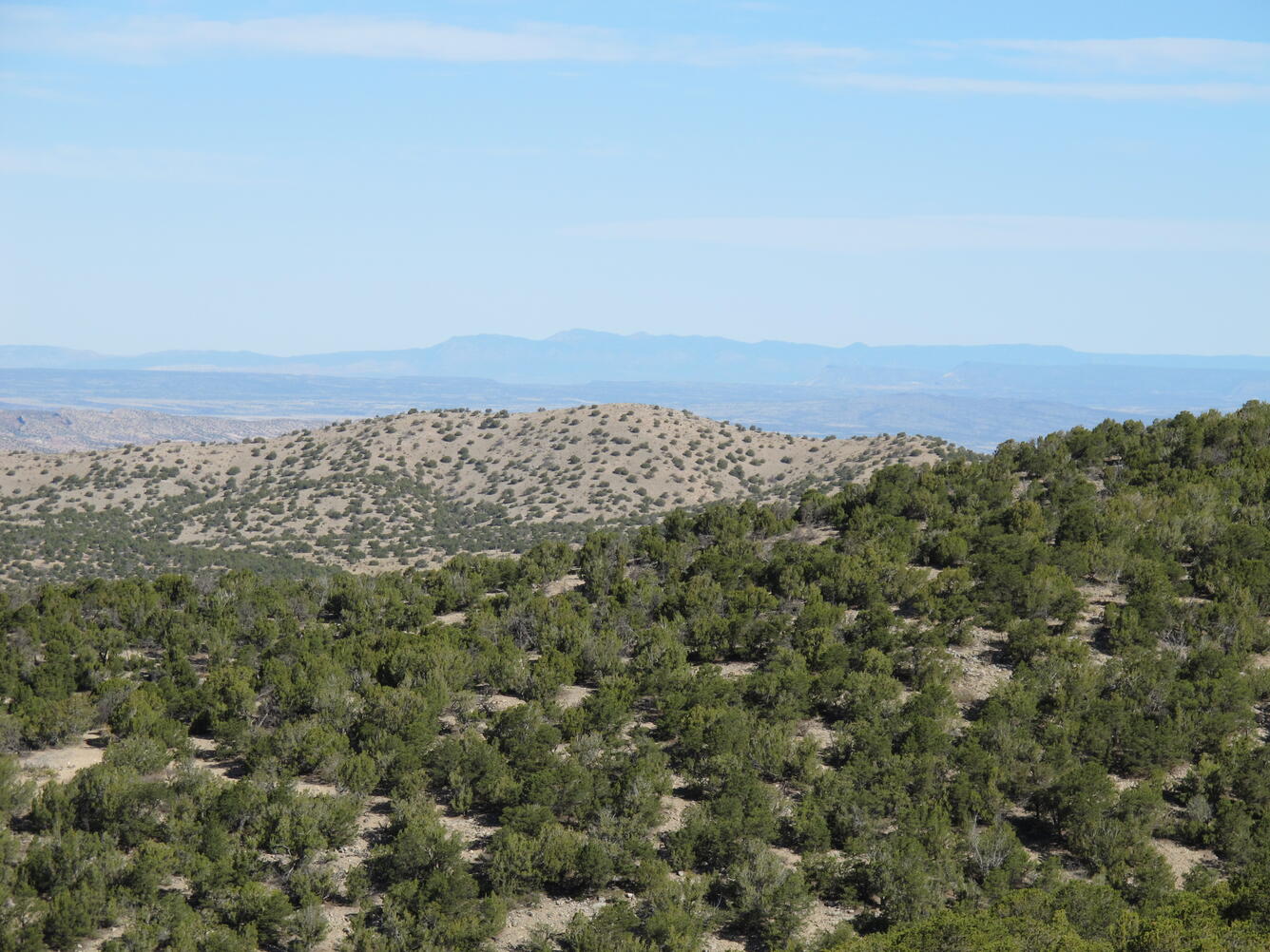 East Mountains, New Mexico. Credit: Cary Vaughn
