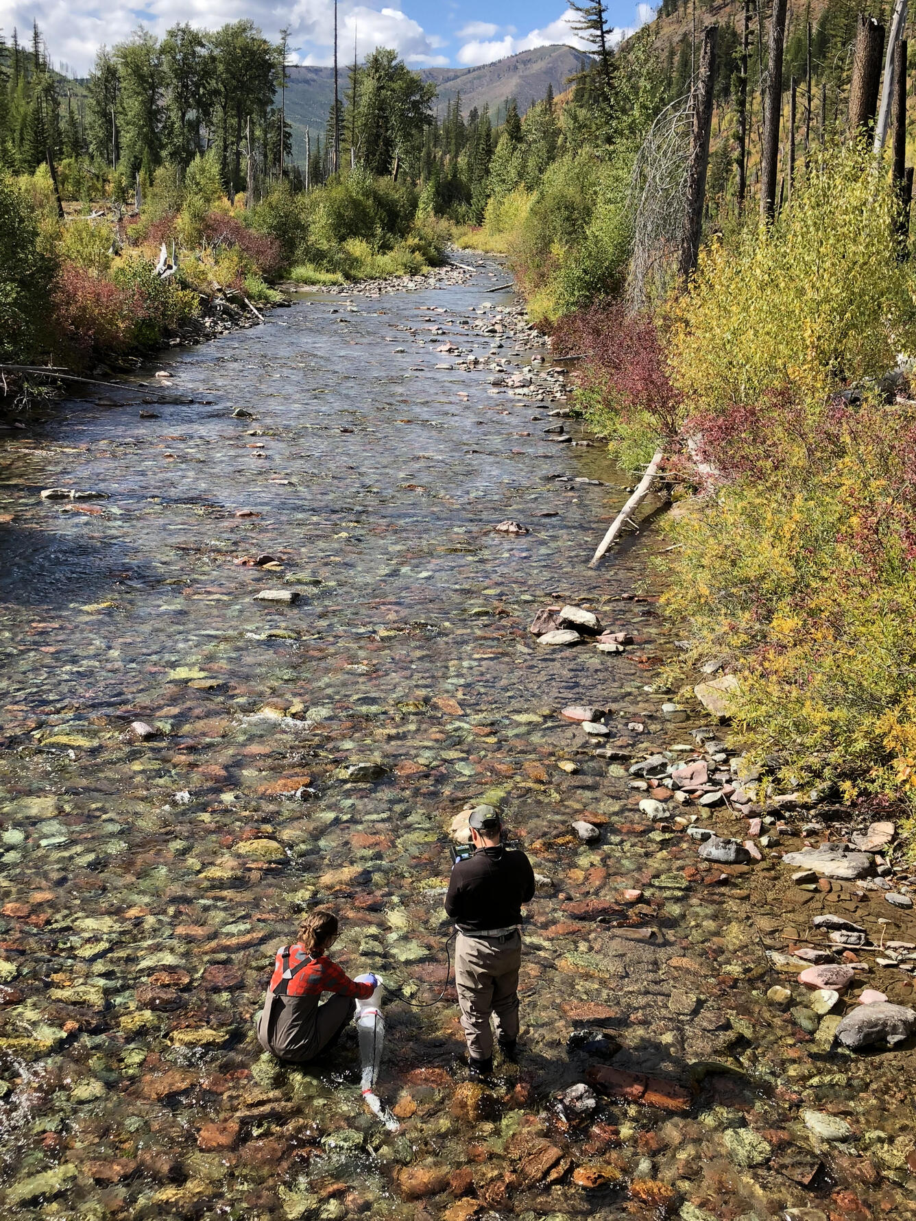 Researchers conduct instream sampling