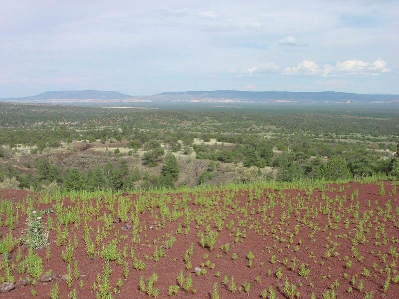 This is a photo of the broad valley of El Malpais.