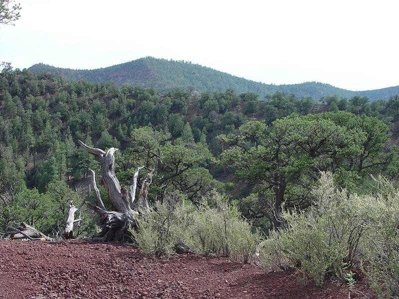 This is a photo of El Calderon Cinder Cone.