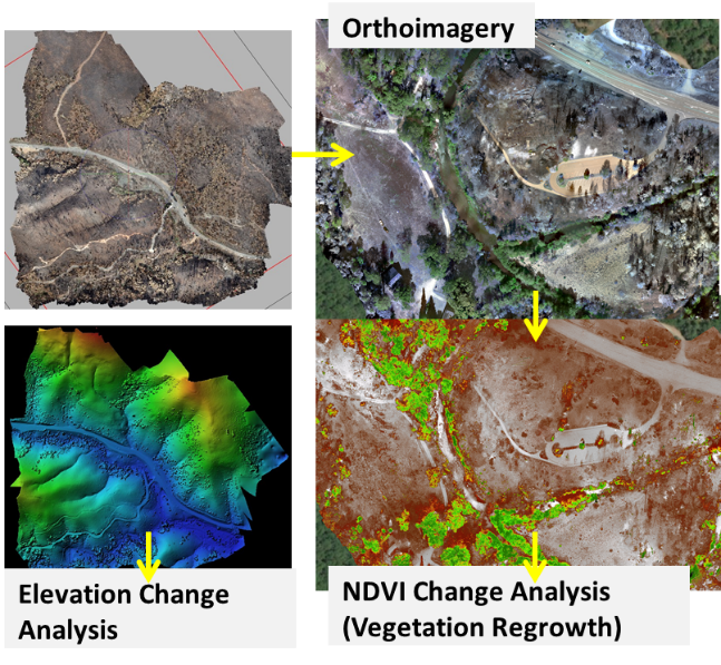 A series of 4 images illustrating orthoimagery, with colors representing elevation and vegetation