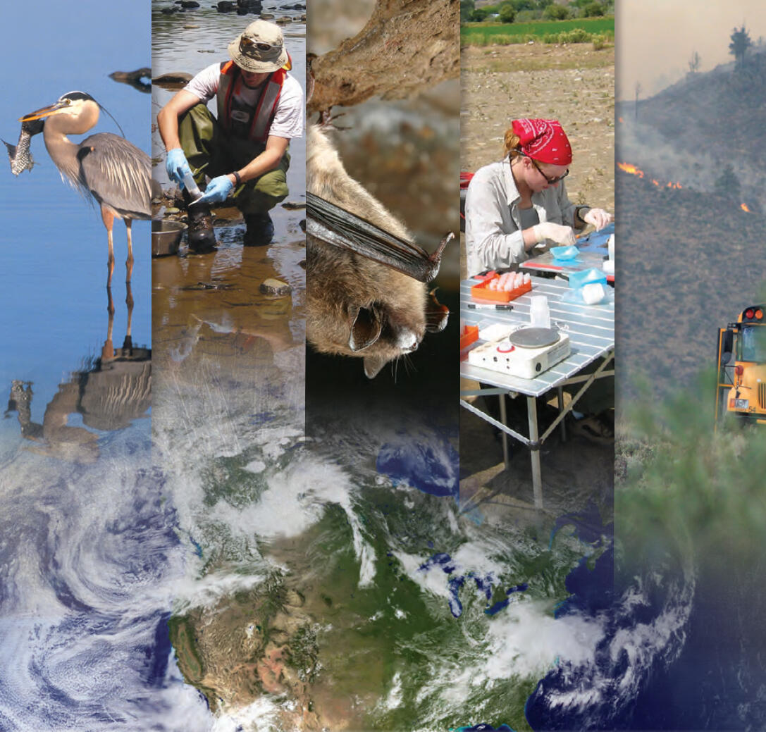 Collage of images showing Environmental Health activities