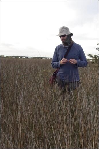 Fieldwork in a marsh