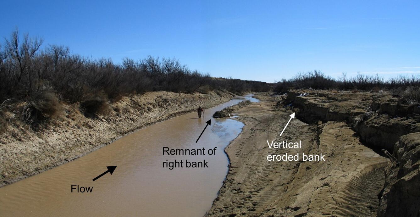 Erosion of invasive saltcedar