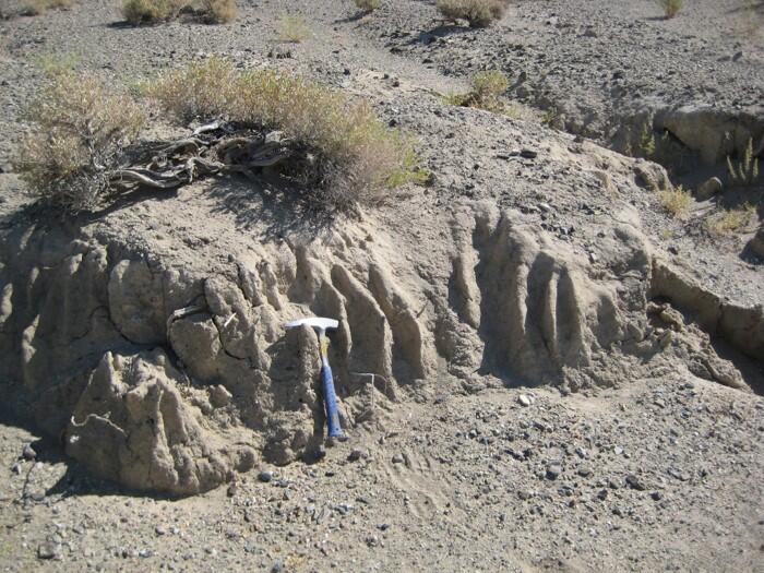 Esmeralda Formation, NV