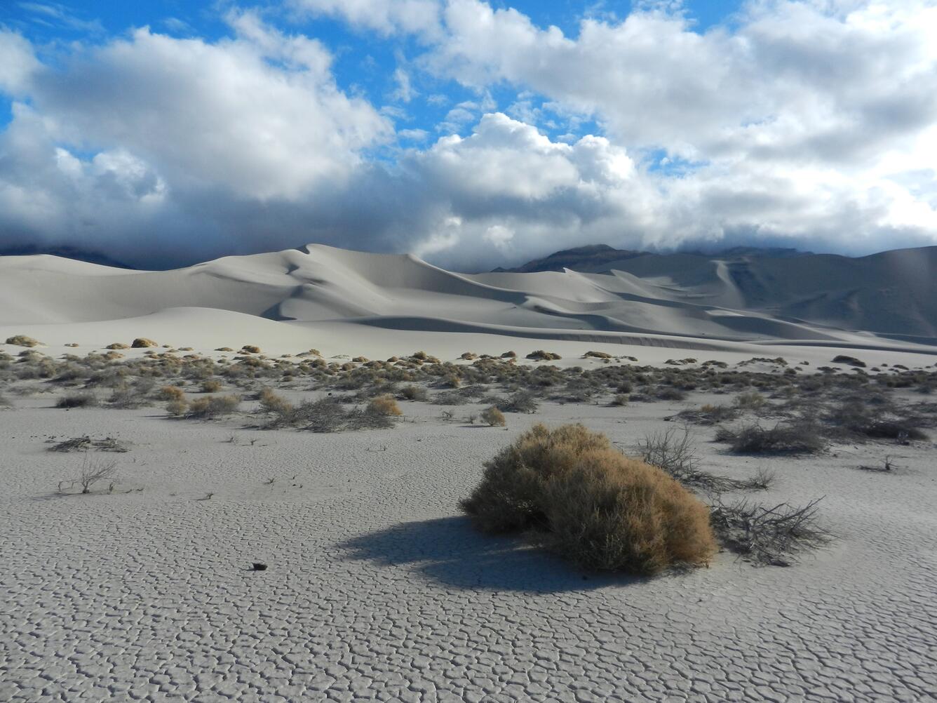 Eureka Valley. Desert Landscape photo