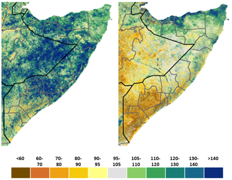 color graphic of vegetation health in Somalia