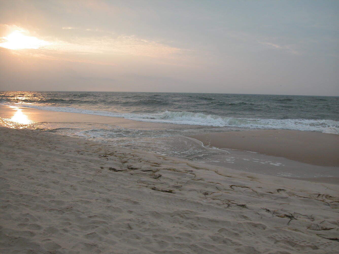 Photograph of Fire Island, New York