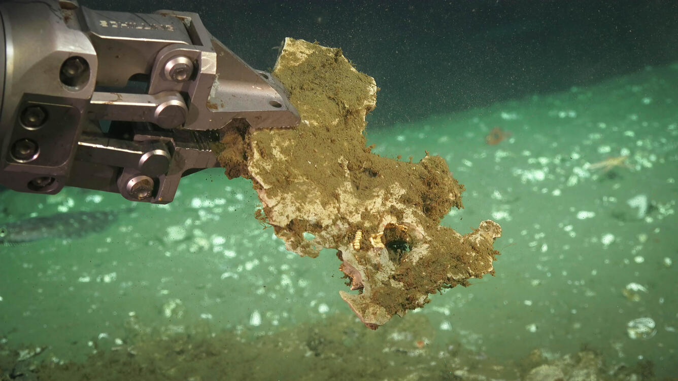 Image shows a mechanical arm holding a piece of rock on the seafloor