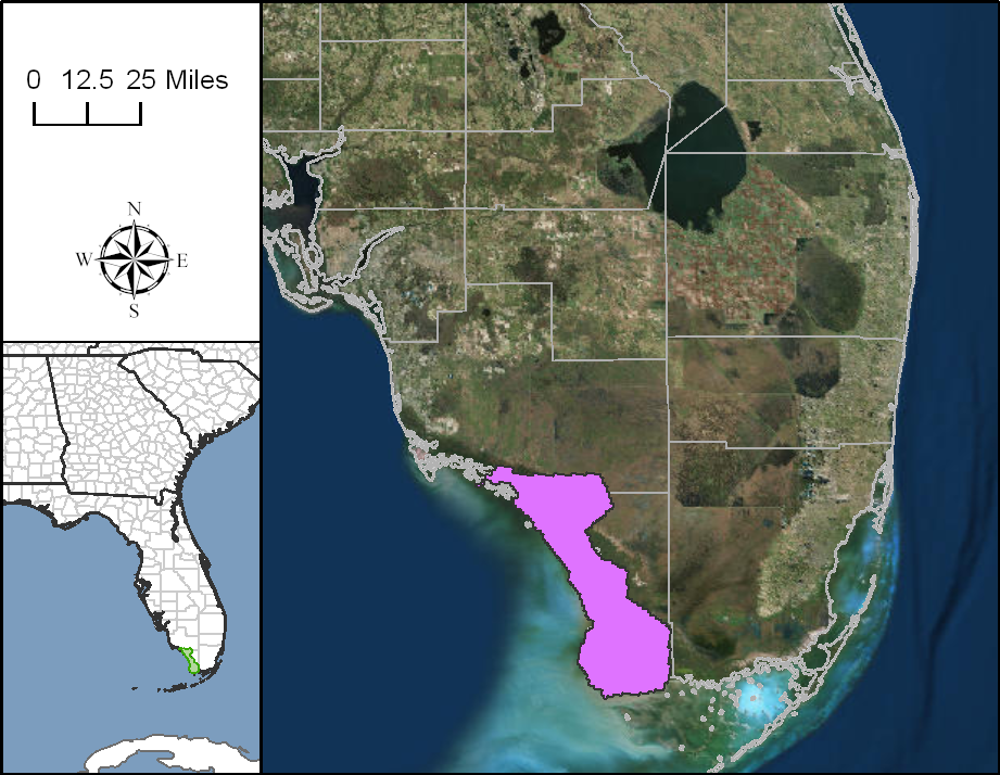 Everglades