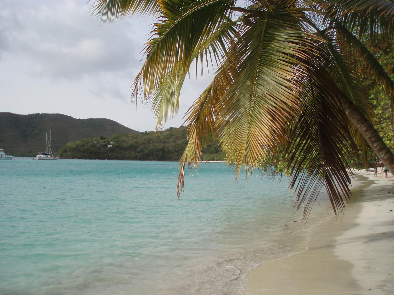 Maho Bay, St. John, U.S. Virgin Islands