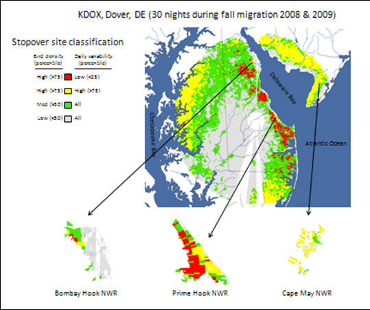 Radar Image of a Fall Migration