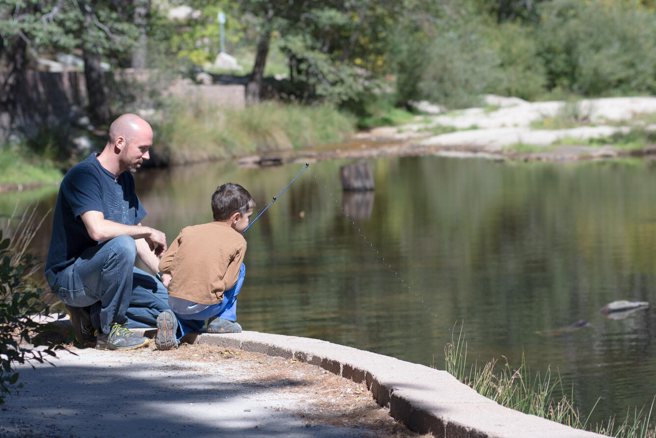 Father and son fishing
