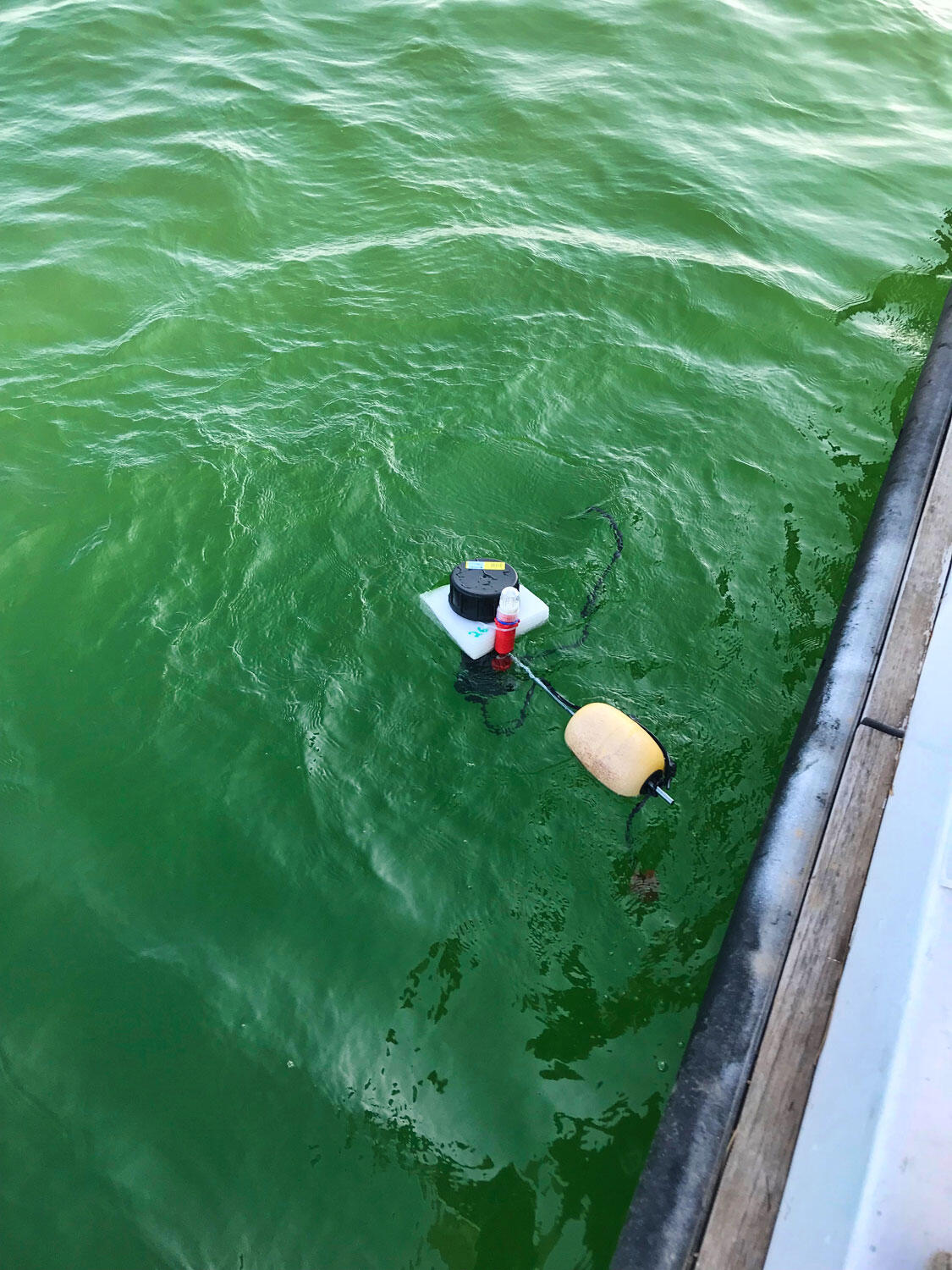 An instrument attached to a floatation orb floats in calm water alongside a boat.