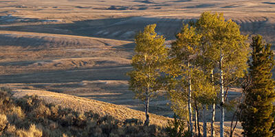 Federal Emissions report cover photo