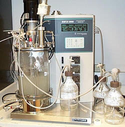 Laboratory-scale (10 liter) bioreactor for removing methyl bromide from the exhaust from fumigation operations