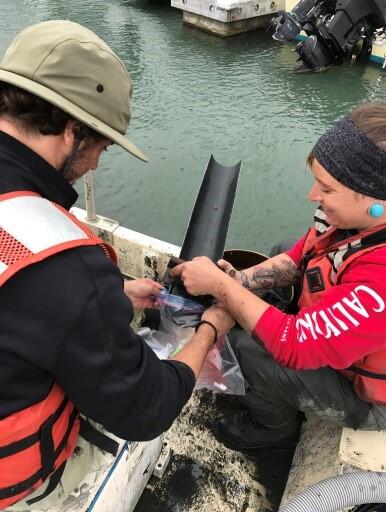 Scientists sampling benthic invertebrates