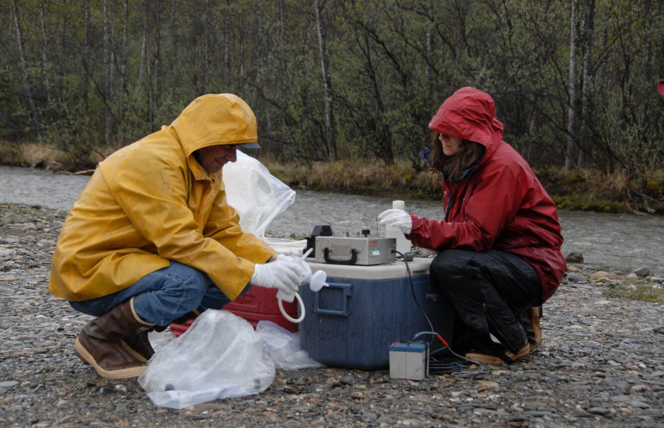 Water-quality field measurements and sampling, Denali National Park and Preserve, 2009