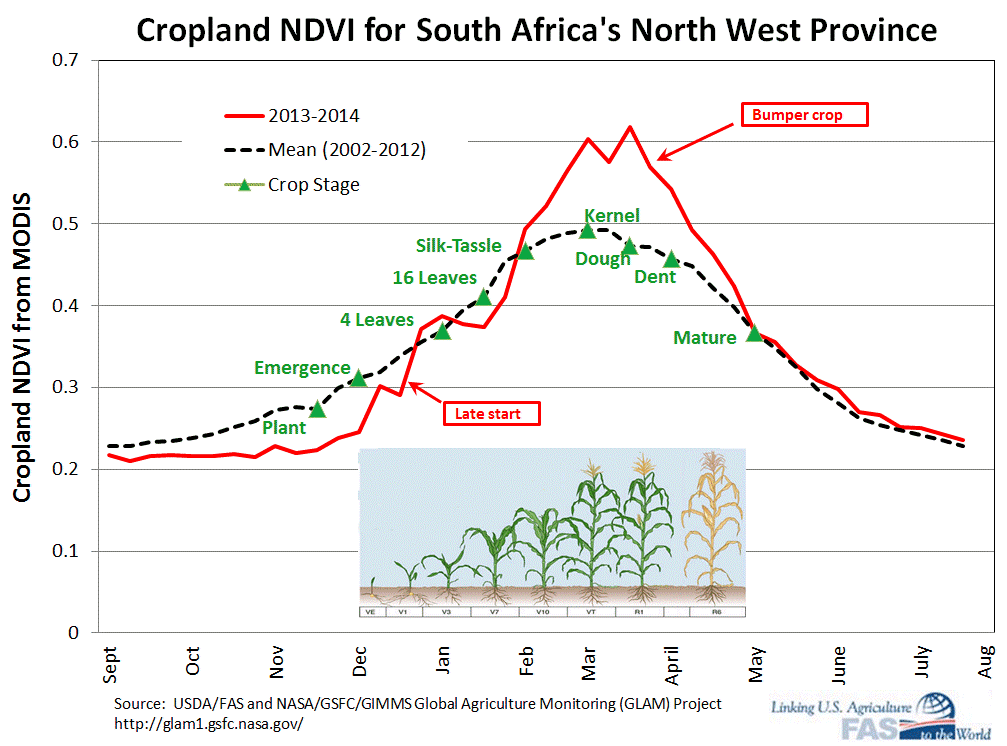 Cropland NDVI monitoring crop phenology and potential crop yield.