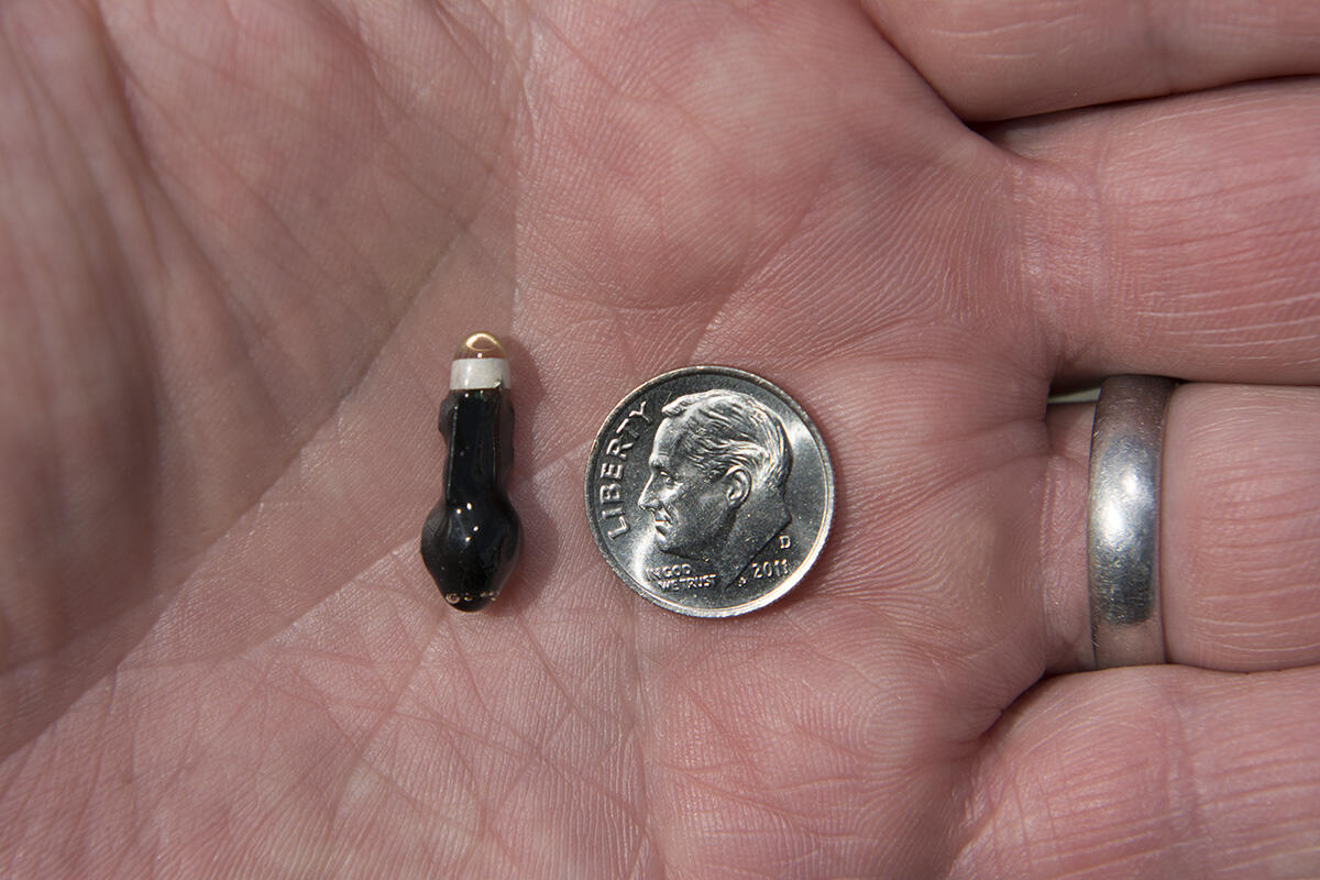 An acoustic telemetry transmitter, similar in size to a dime, in the palm of someone's hand.