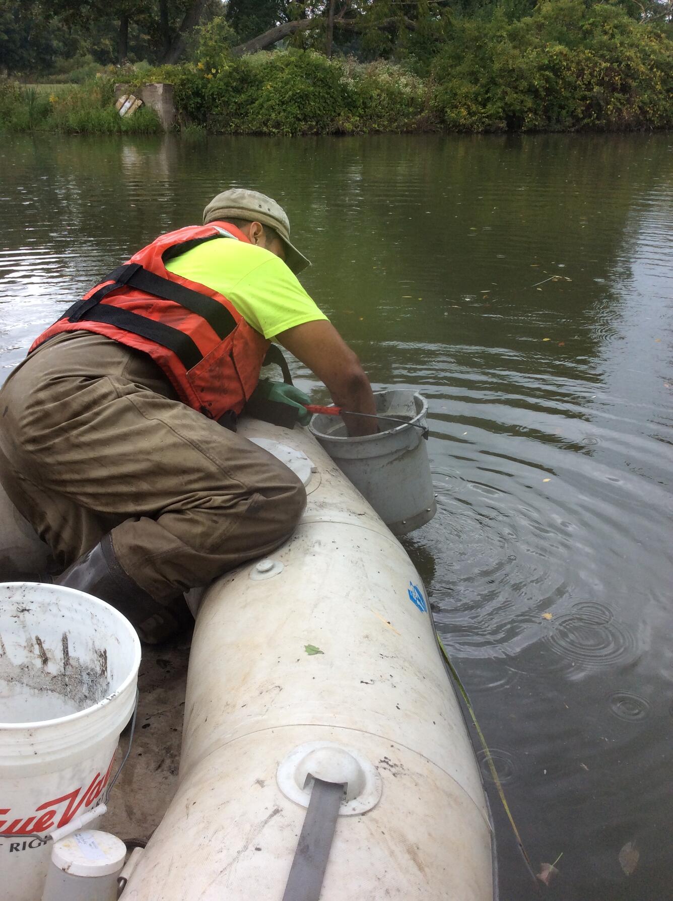 Niagara River Benthos Toxicity