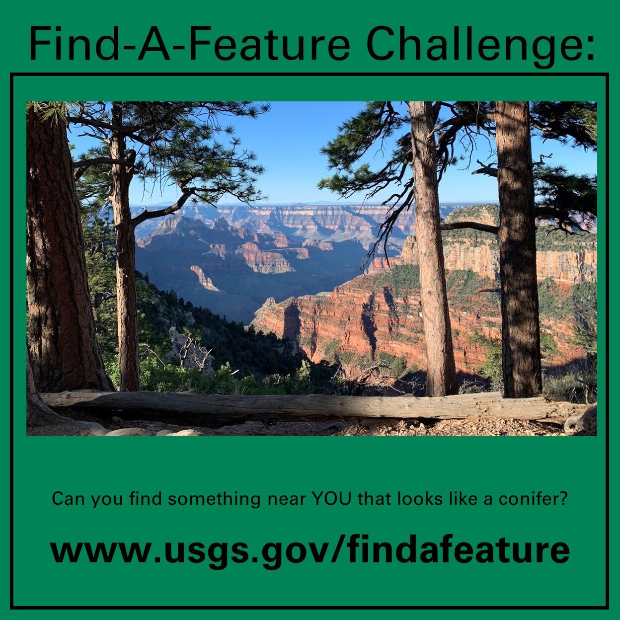 This image has text about the Find-A-Feature challenge and a photo of conifer trees on the north rim of the Grand Canyon.