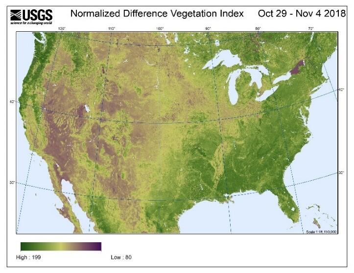 Fire Danger Base Vegetation Indices