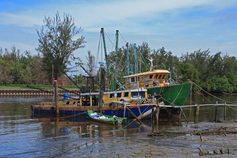 Two medium-sized fishing boats with their sails furled are tied up along a muddy beach, along with a small rowboat. Leafy trees 