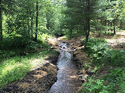 Five-Islands Creek after restoration