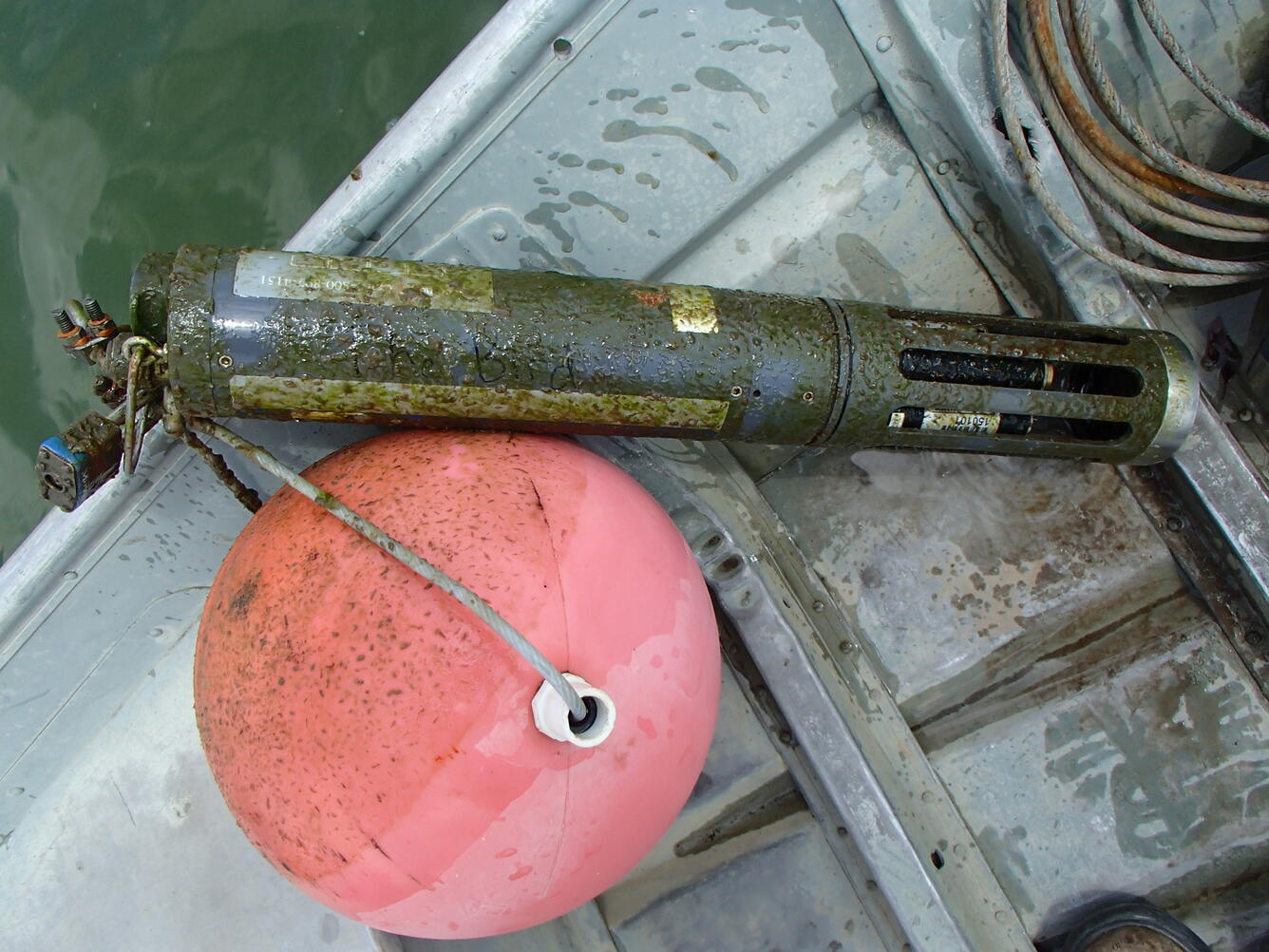 Water-quality sonde covered in algae from Willow Creek Reservoir