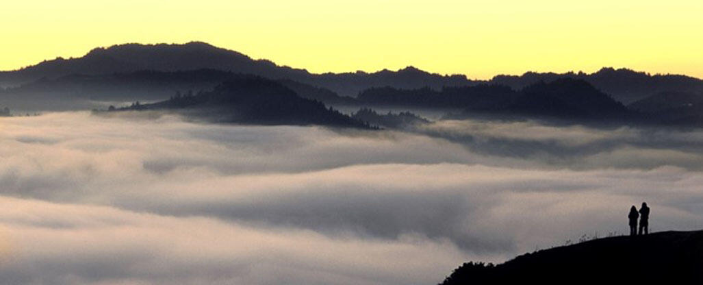 Fog over Point Reyes, CA