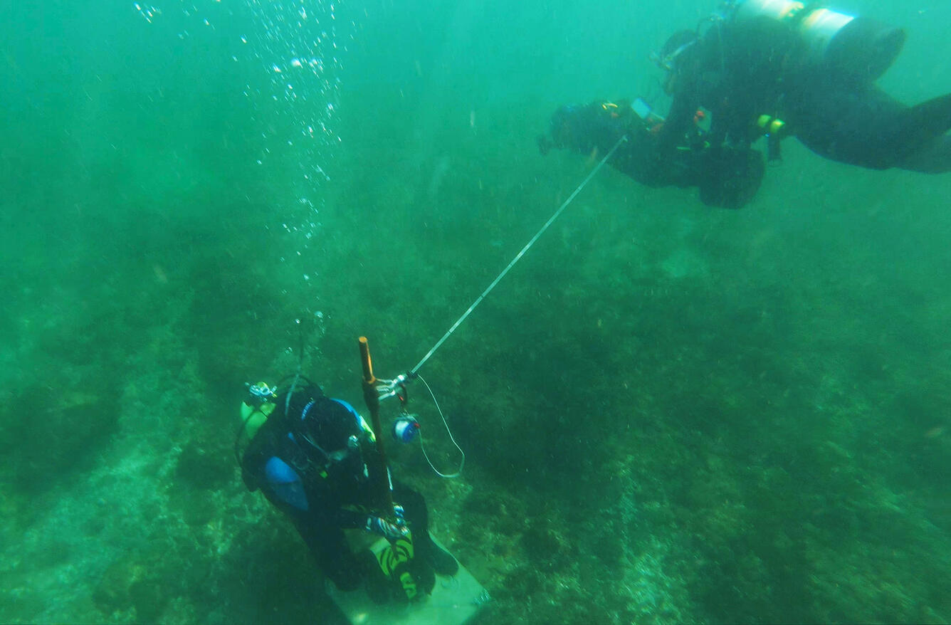 Divers work on a circular transect