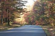 Frederic County Virginia Fall Colors Image