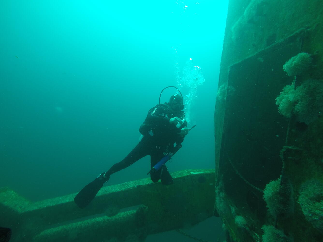 Artificial reef in the Texas Gulf Coast