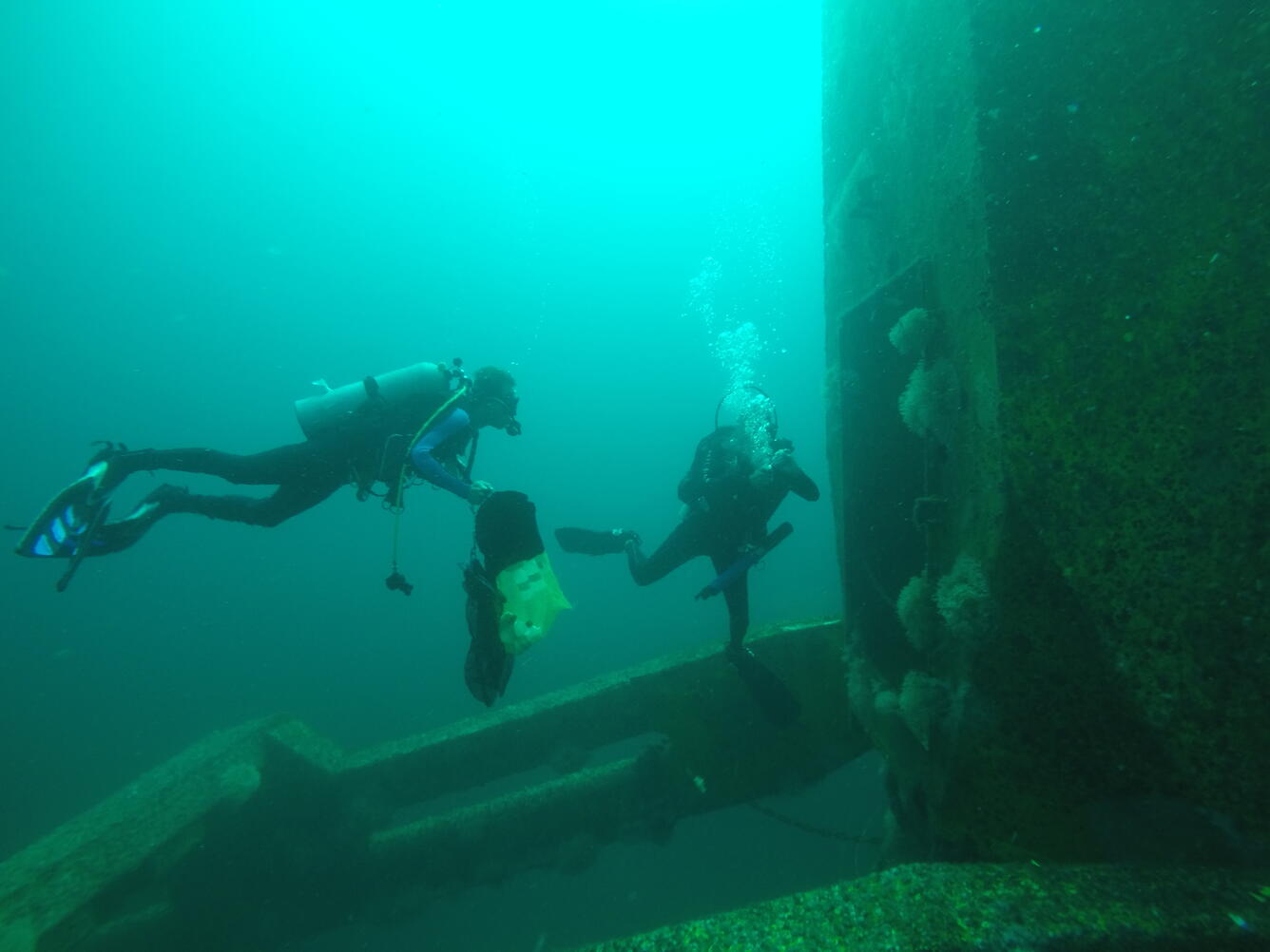 Artificial reef