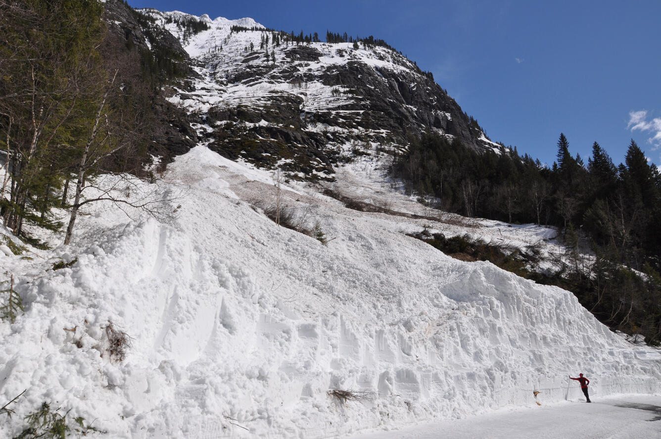 Avalanche debris by roadside