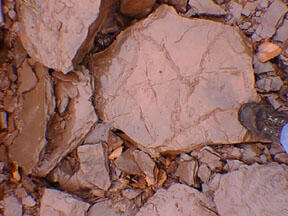 This is a photo of ancient dried lake muds in the Jurassic Towaco Formation.