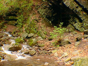 This is a photo of an 18th Century copper mine in the redbeds of the Upper Silurian Bloomsburg Formation.