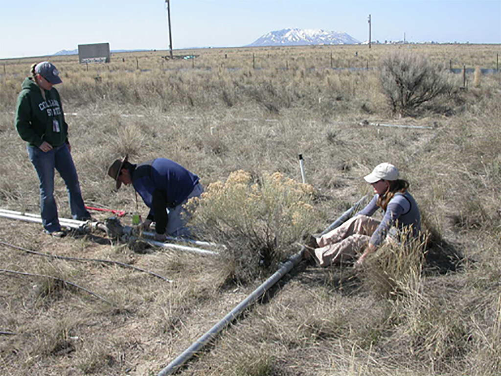 three scientists connect PVC pipes in a common garden